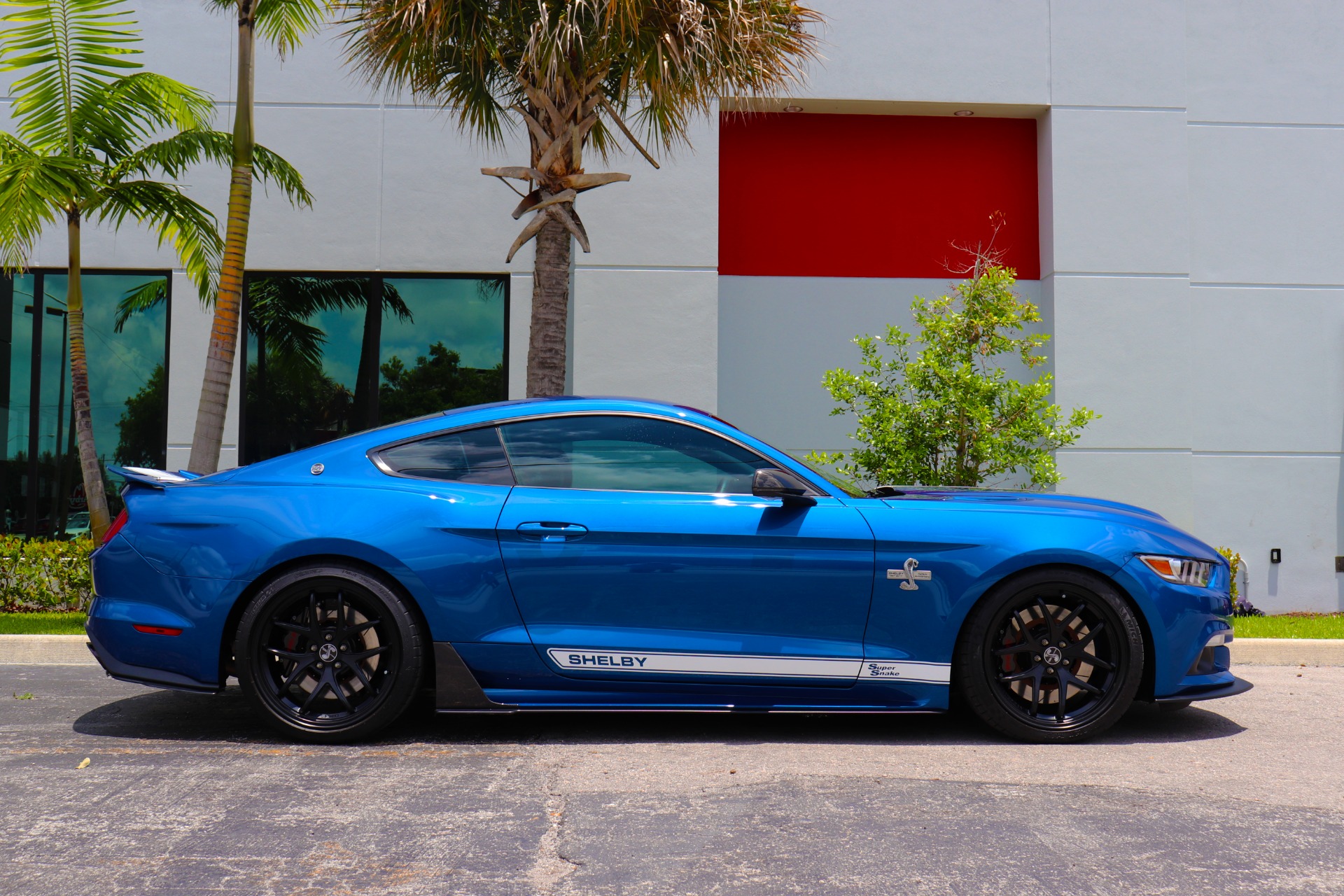 Used 2017 Ford Mustang Shelby Super Snake For Sale ($87,900) | Marino