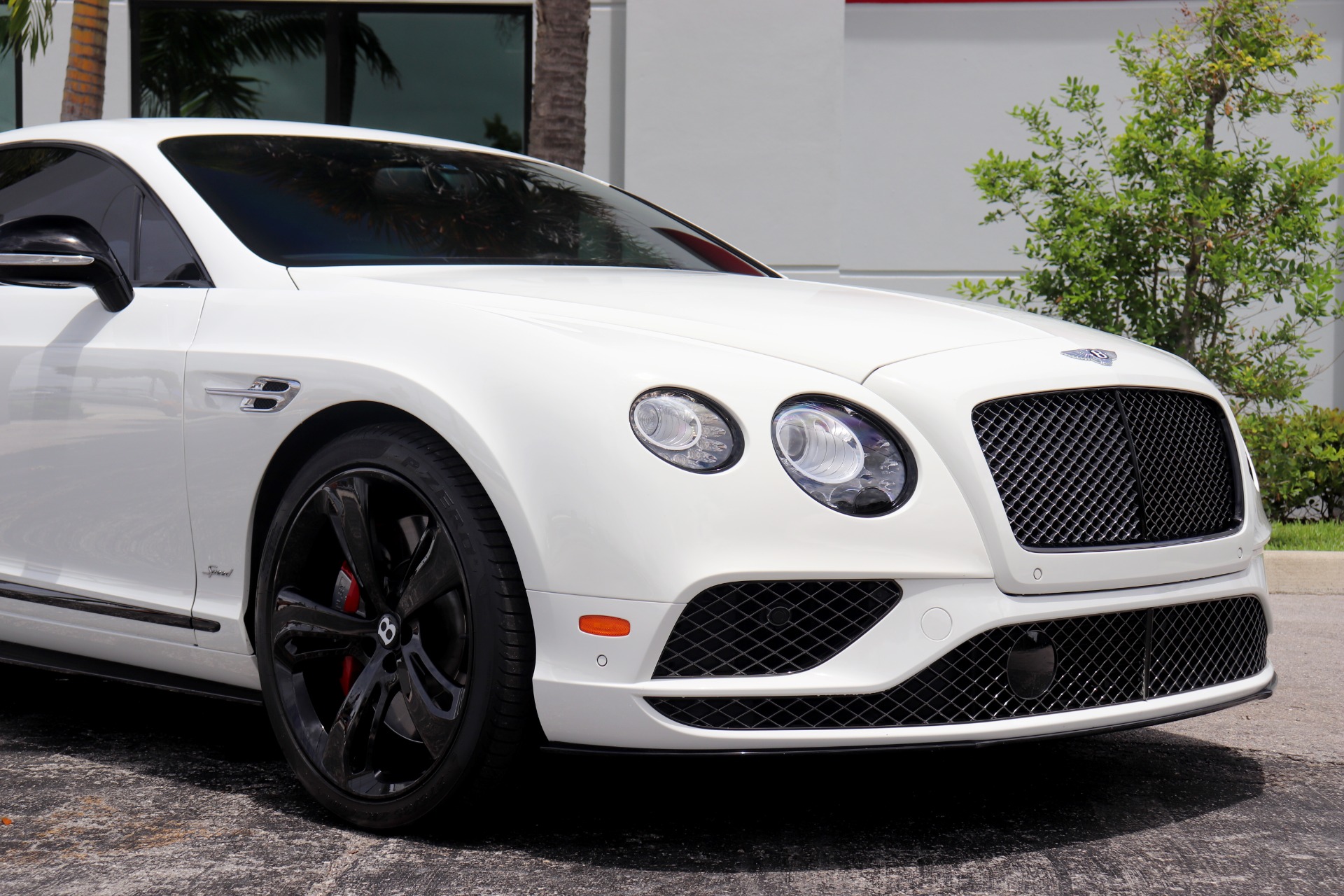 Used  Bentley Continental GT Speed Black Edition For Sale