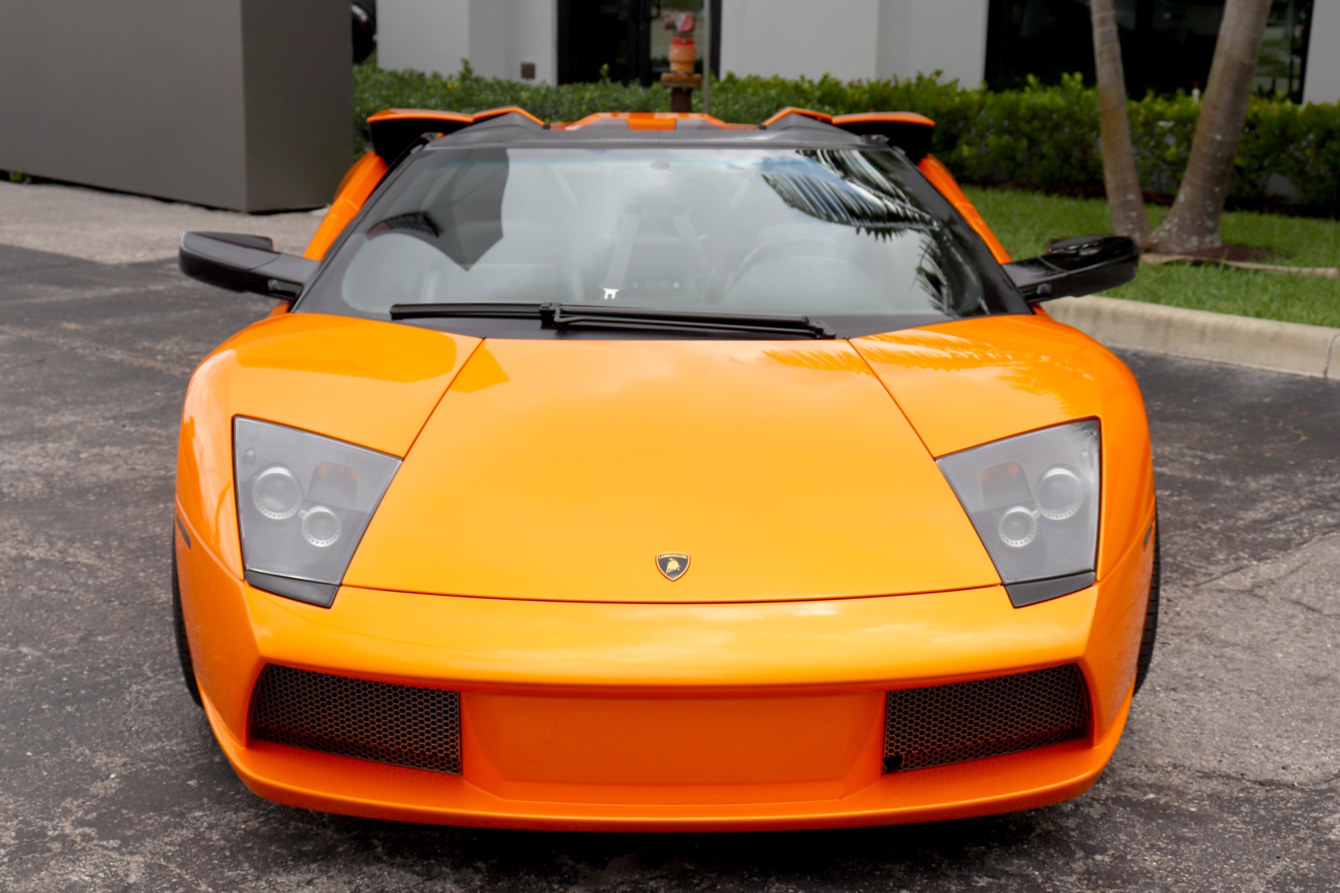 Used-2006-Lamborghini-Murcielago-Roadster