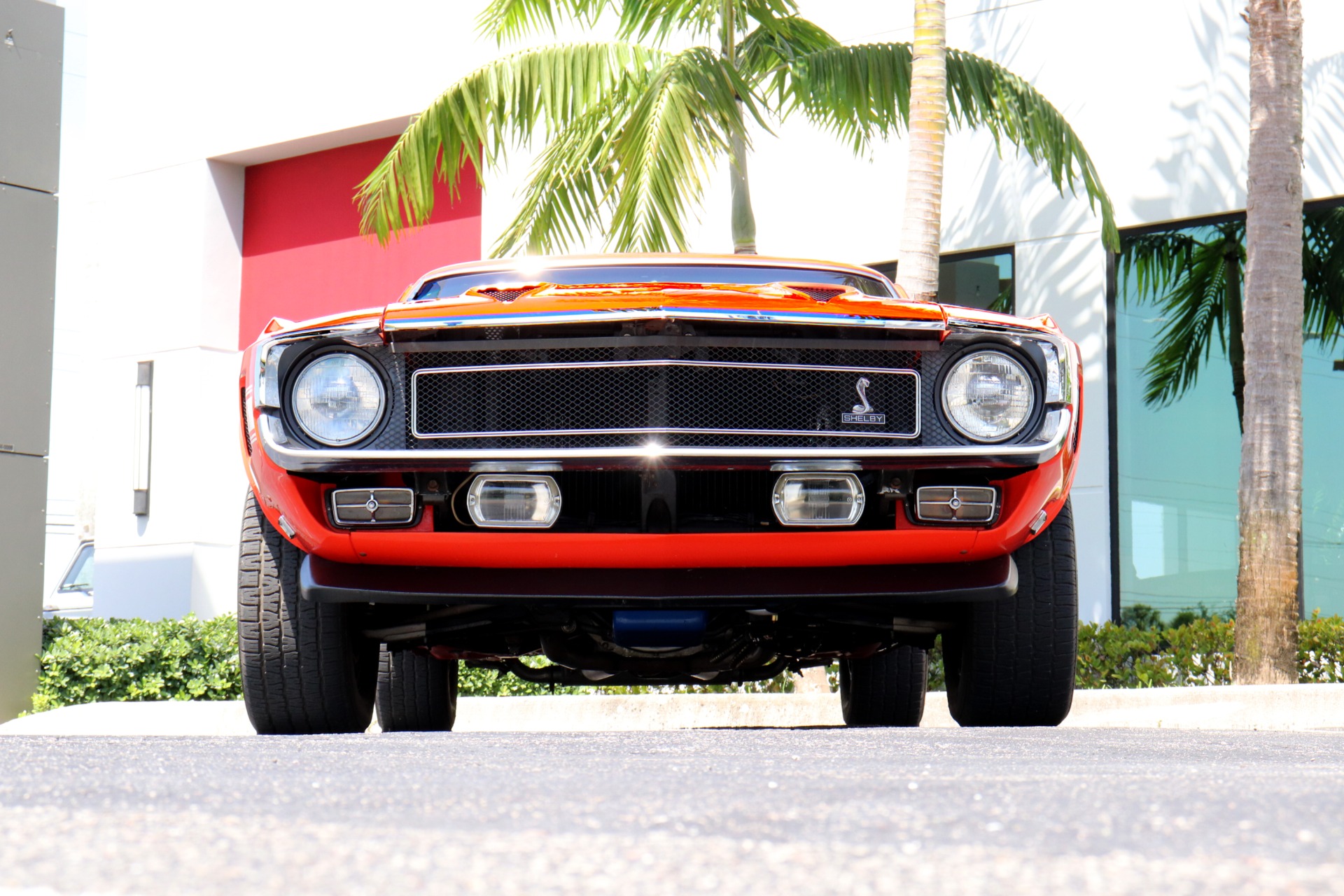 Used-1969-Ford-Shelby-Mustang-GT500