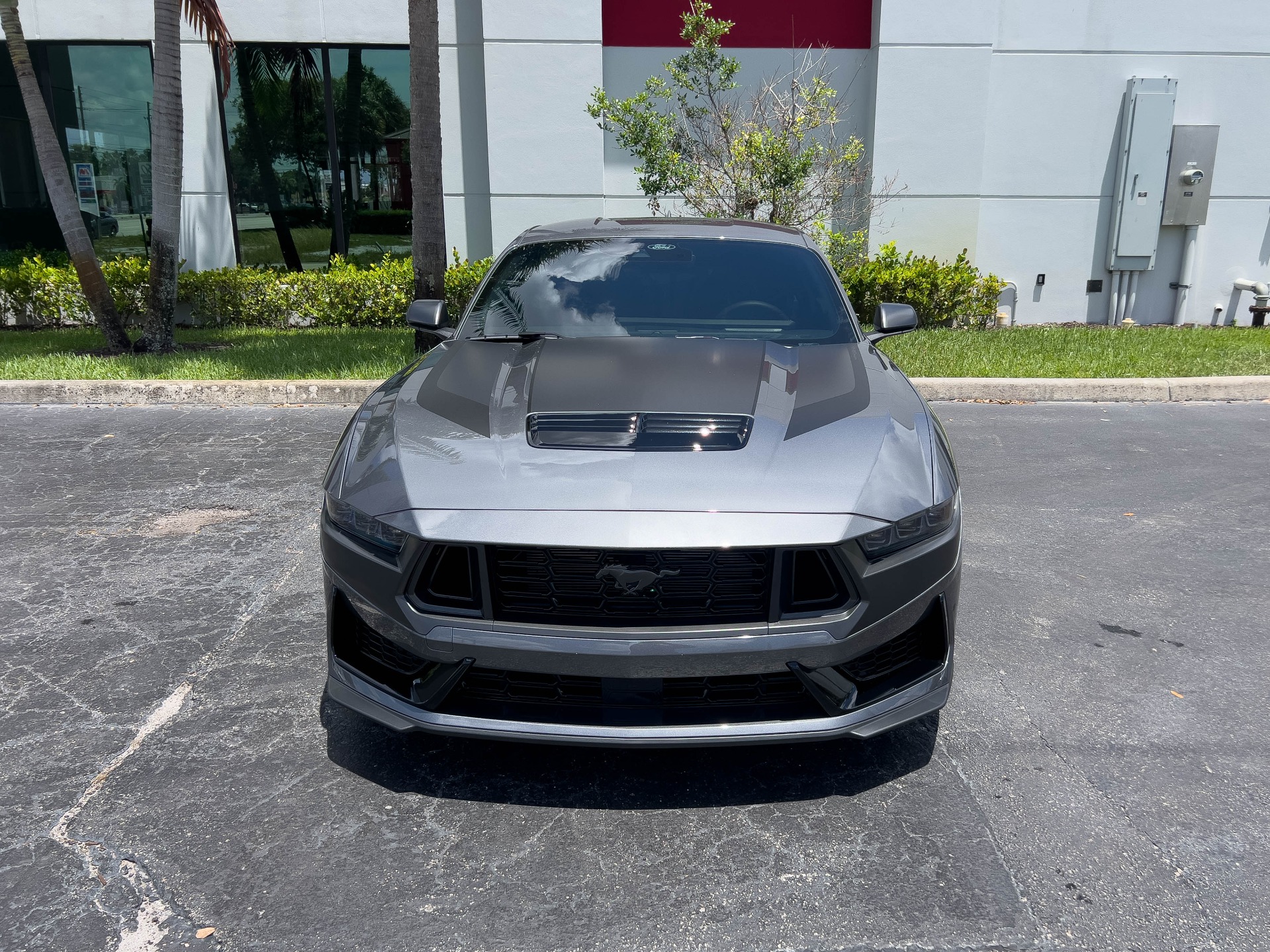 Used-2024-Ford-Mustang-Dark-Horse