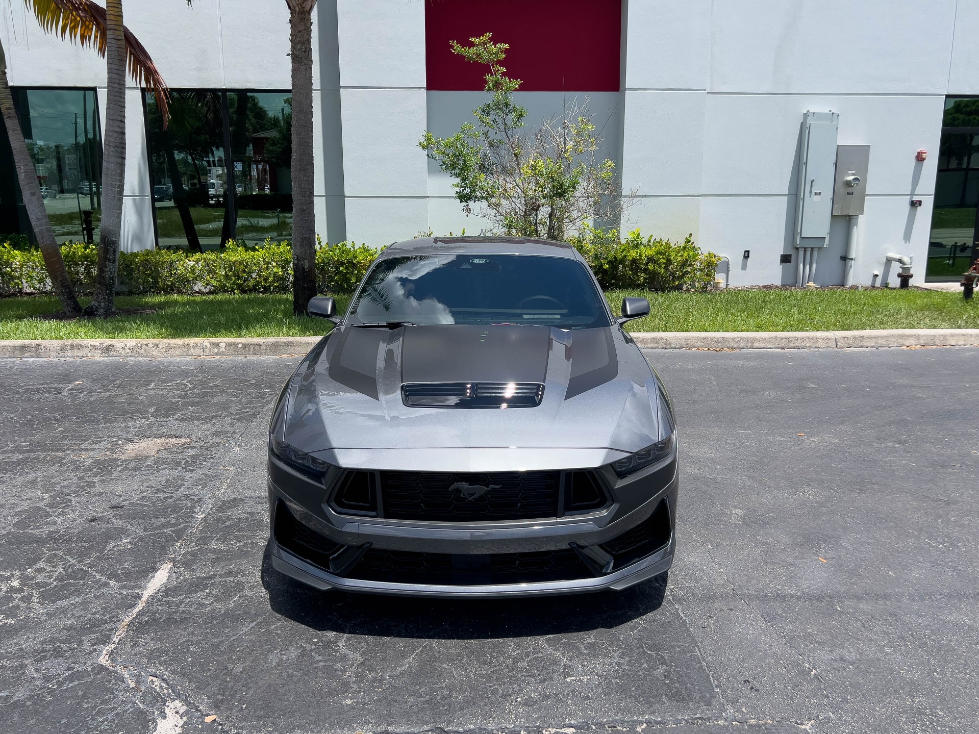 Used-2024-Ford-Mustang-Dark-Horse
