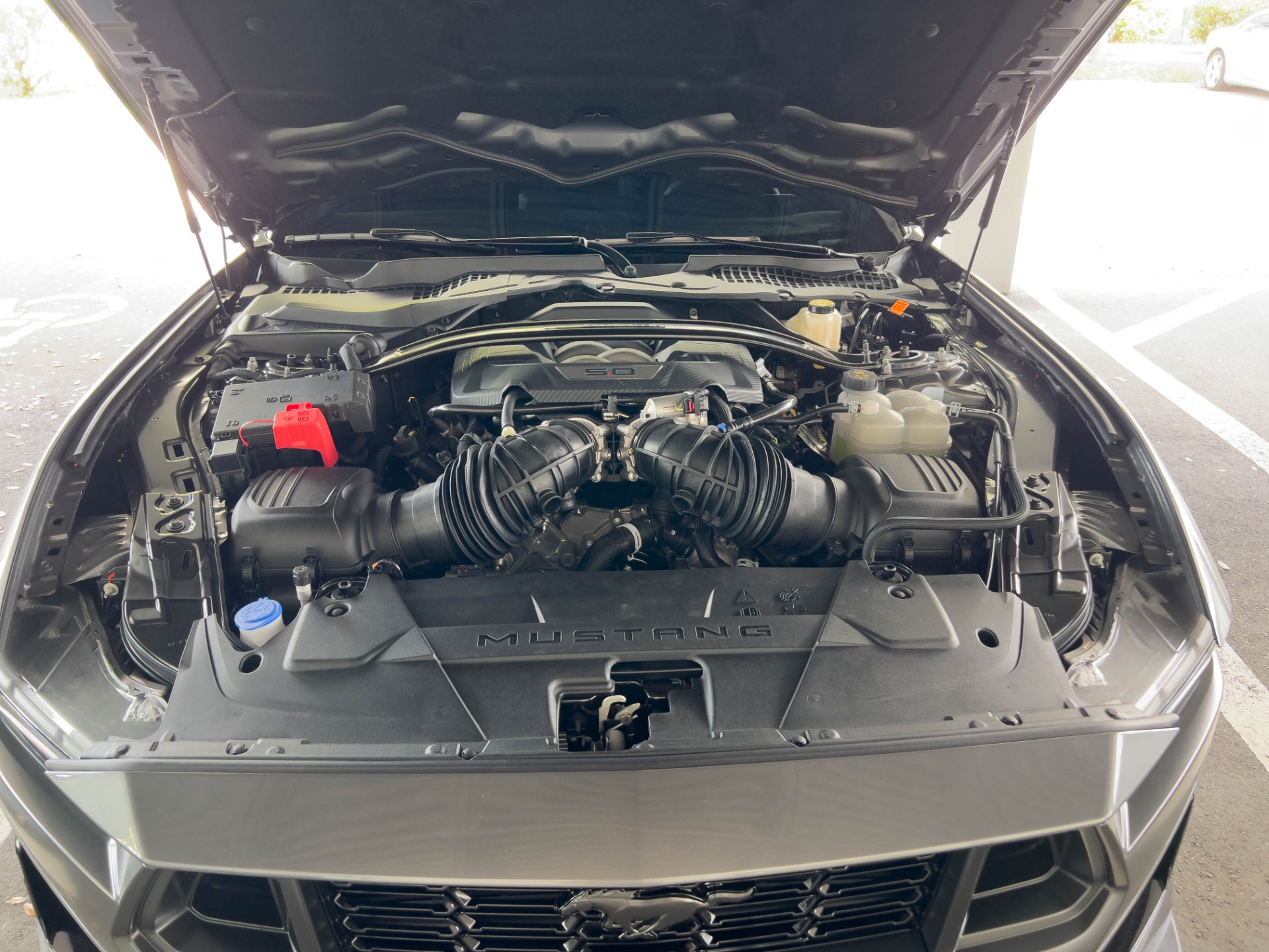 Used-2024-Ford-Mustang-Dark-Horse