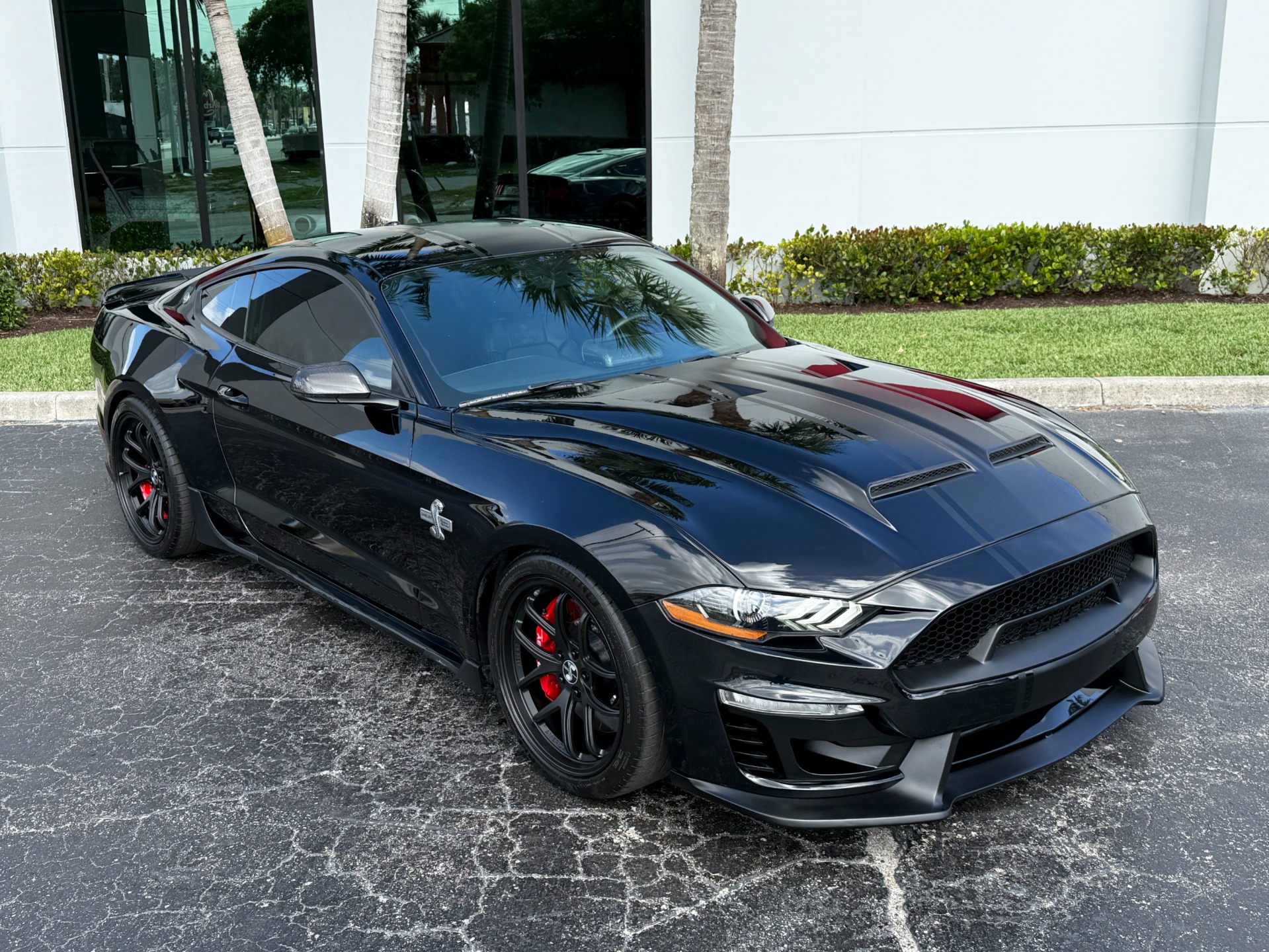 Used-2019-Ford-Shelby-Super-Snake-Mustang