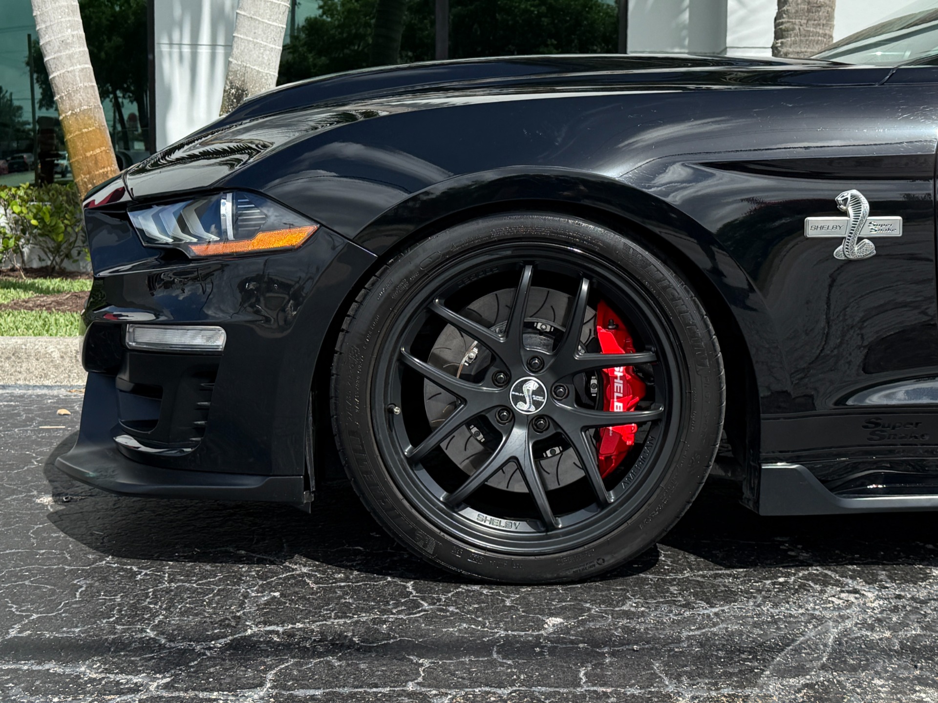 Used-2019-Ford-Shelby-Super-Snake-Mustang