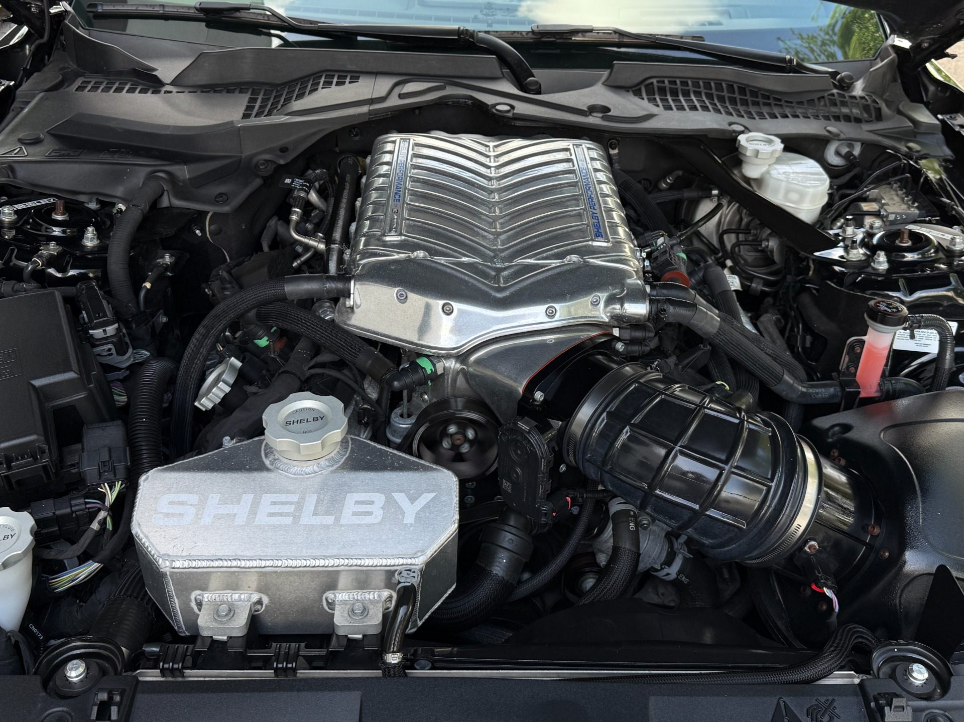 Used-2019-Ford-Shelby-Super-Snake-Mustang