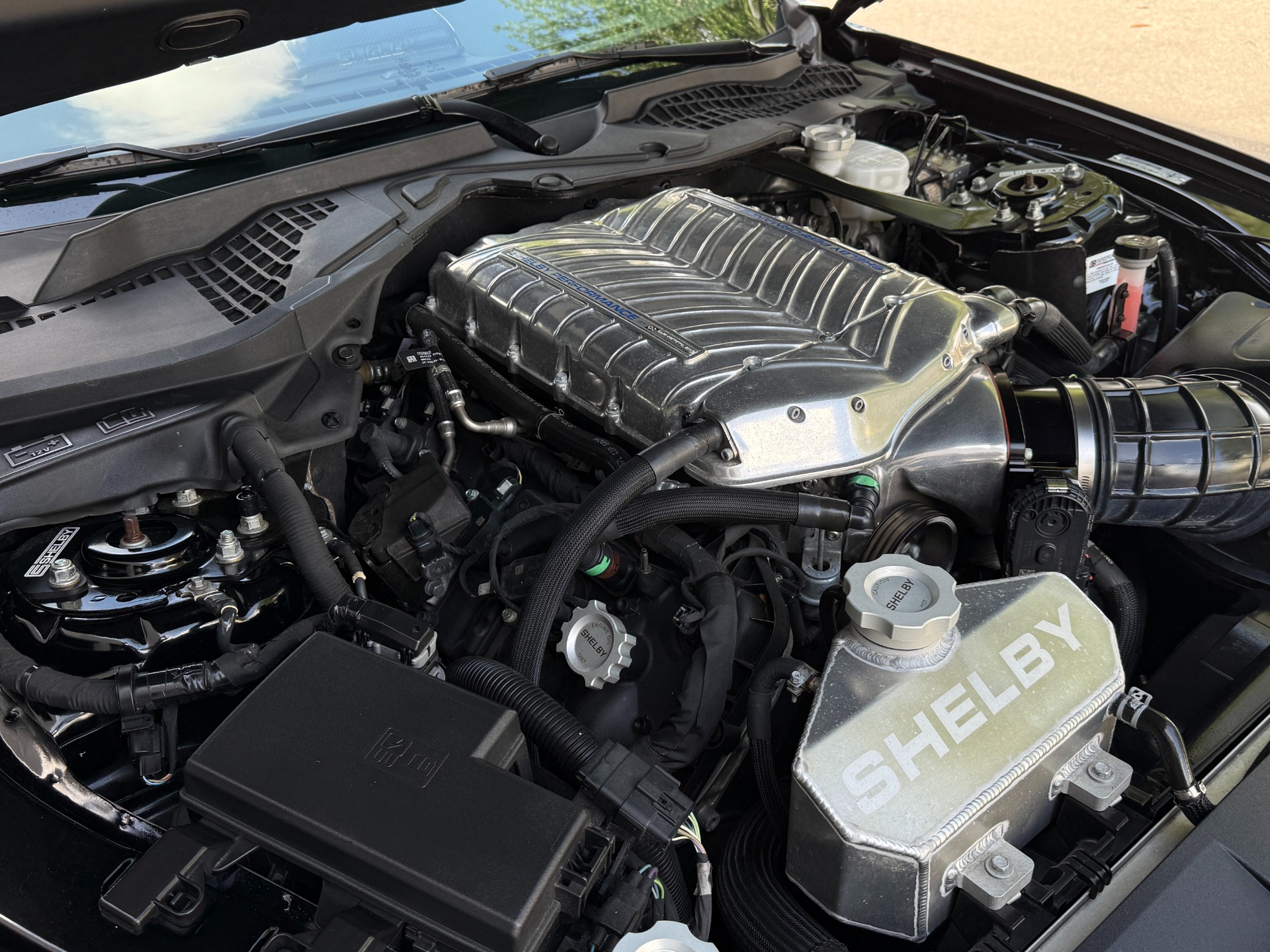 Used-2019-Ford-Shelby-Super-Snake-Mustang