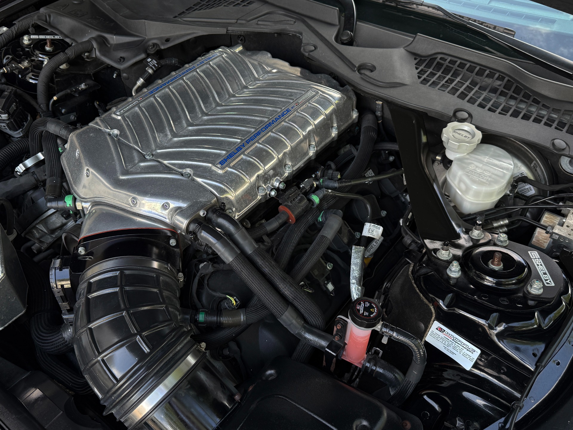 Used-2019-Ford-Shelby-Super-Snake-Mustang