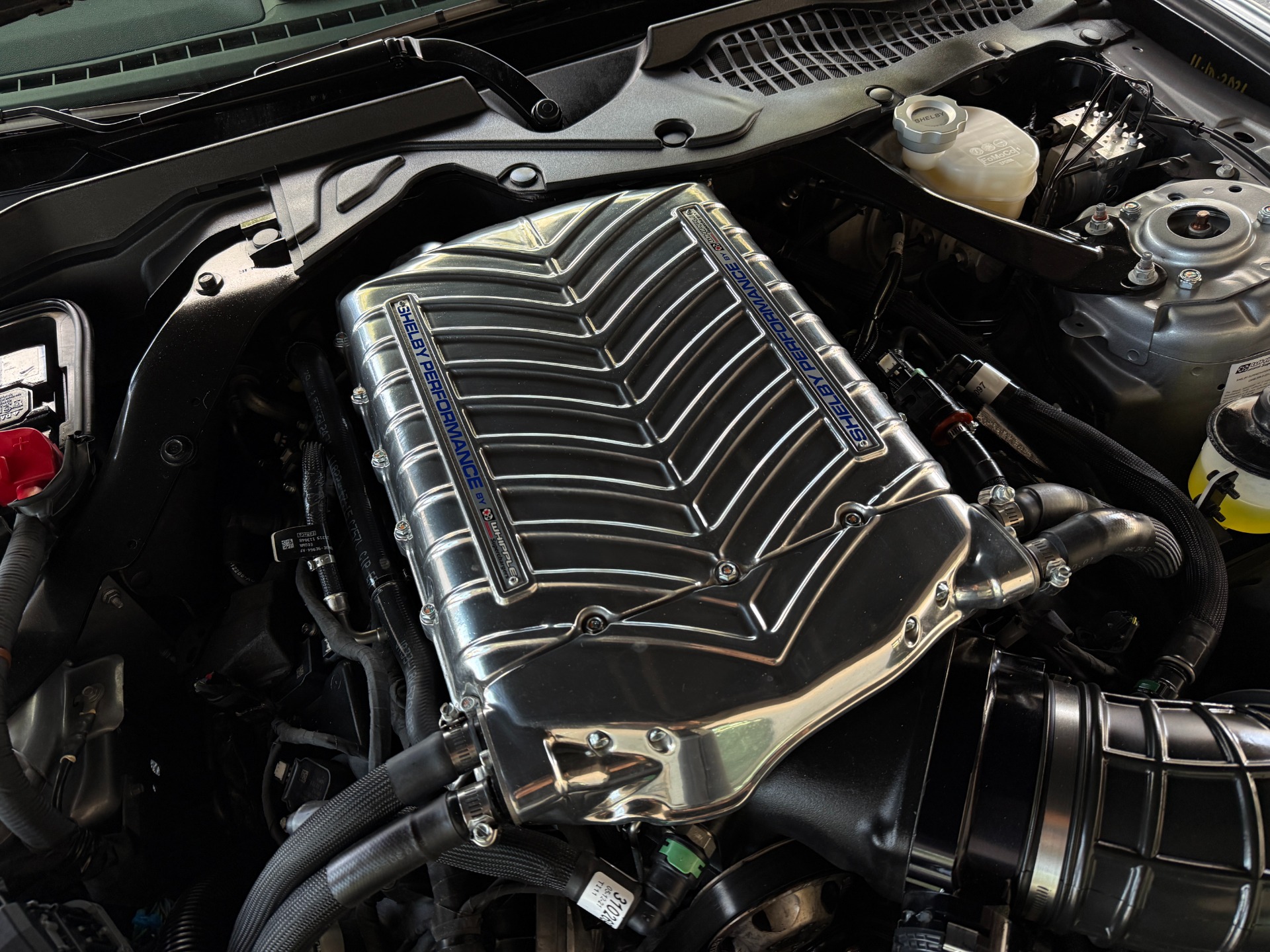 Used-2021-Ford-Mustang-Shelby-Super-Snake