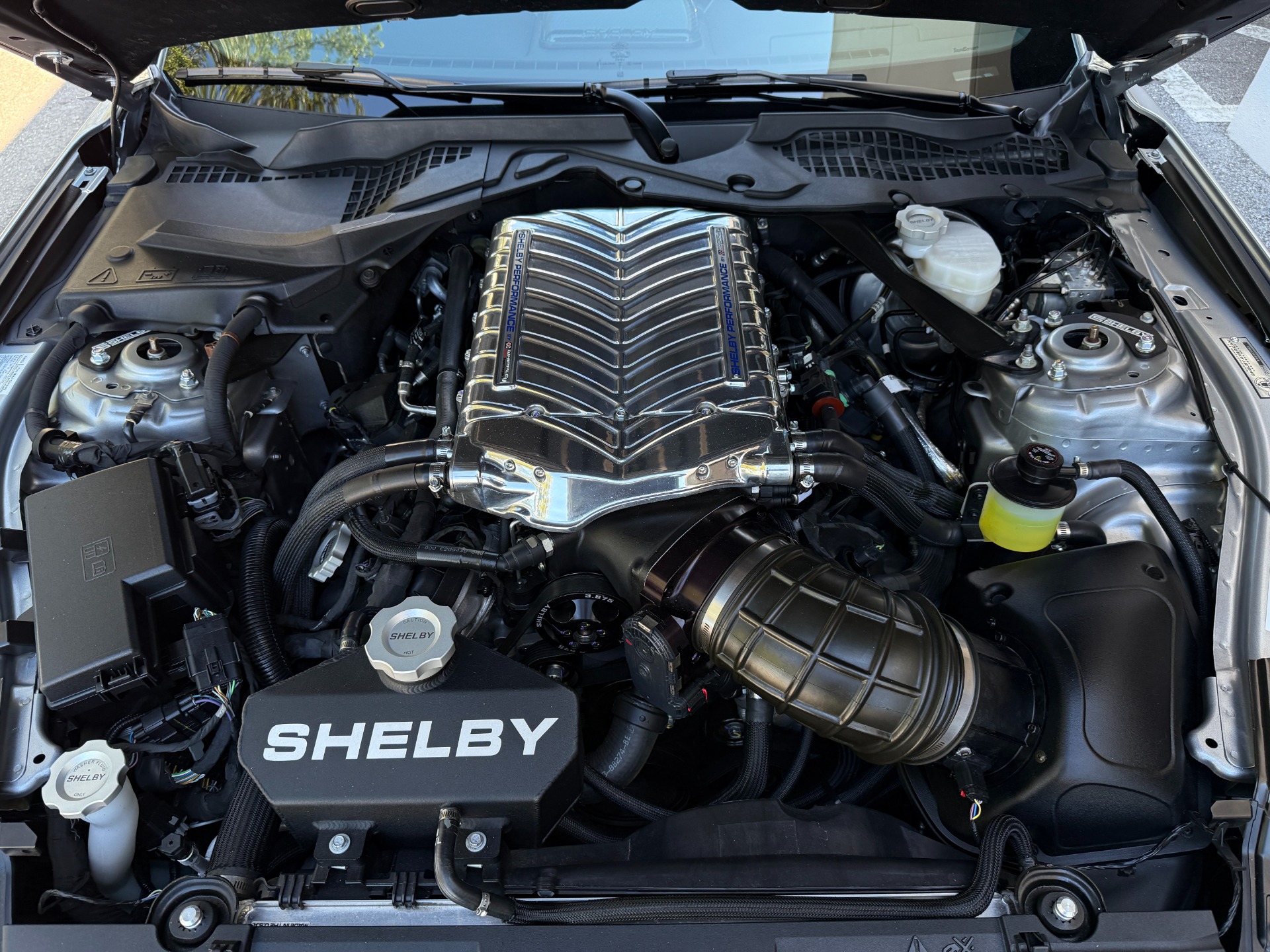 Used-2023-Ford-Shelby-Super-Snake-Mustang-GT