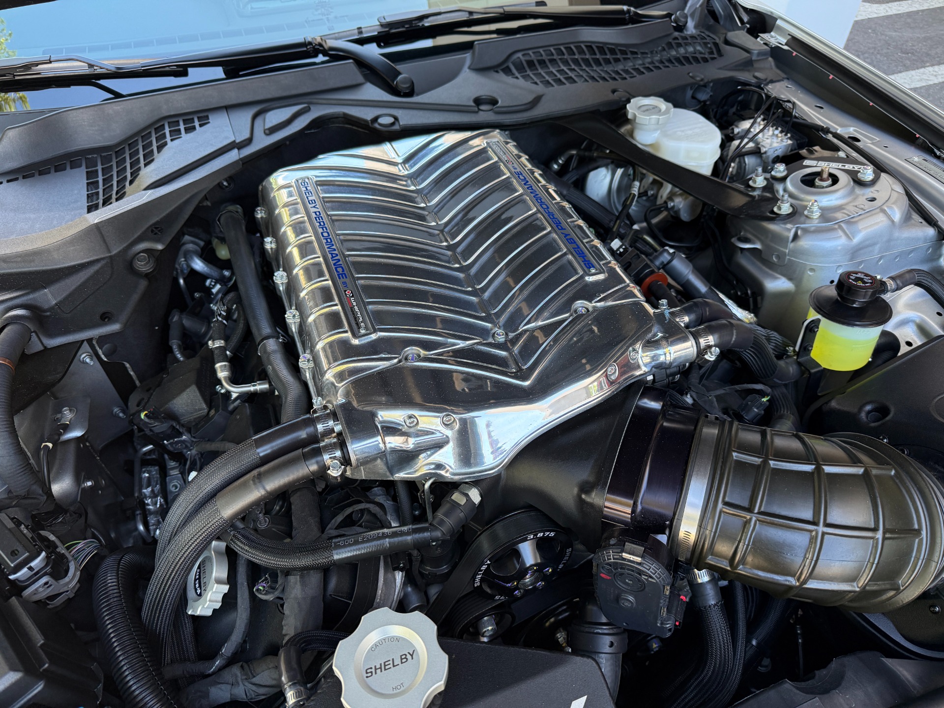 Used-2023-Ford-Shelby-Super-Snake-Mustang-GT